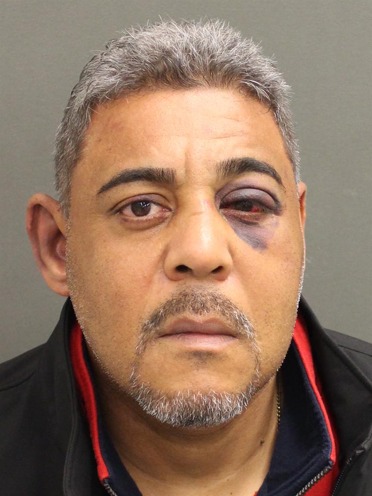  LOUIS ALBERT CASTILLO Mugshot / County Arrests / Orange County Arrests