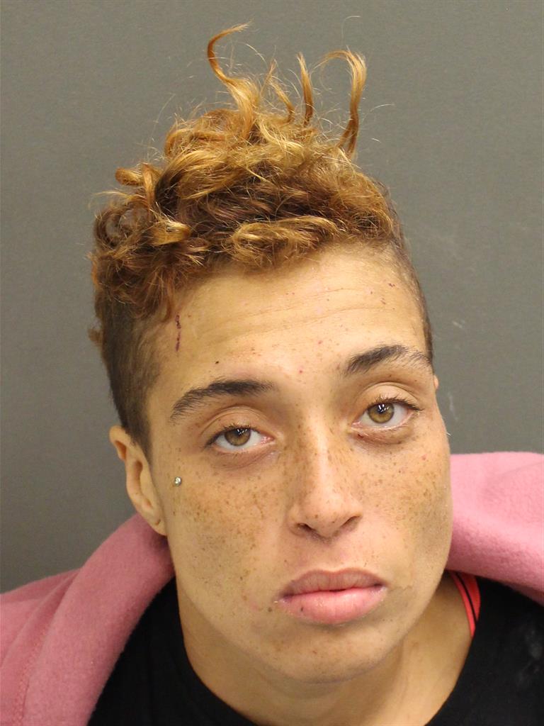  SHANELL DEGRAFFINRIED Mugshot / County Arrests / Orange County Arrests
