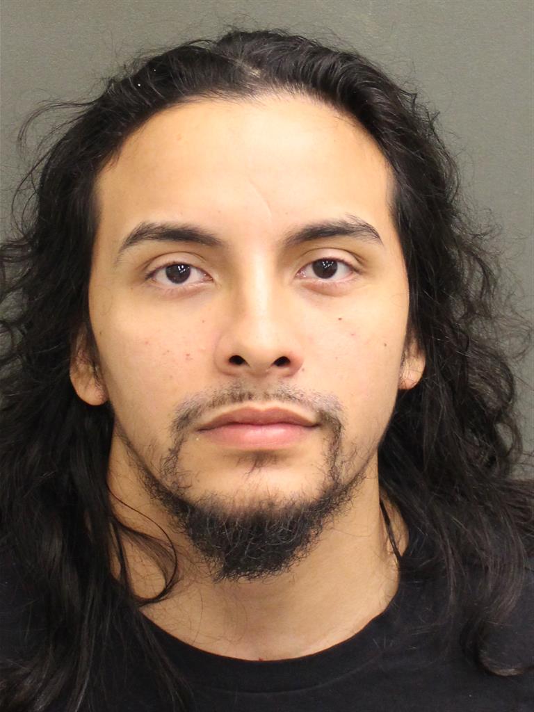  LUIS ANGEL PONTON Mugshot / County Arrests / Orange County Arrests