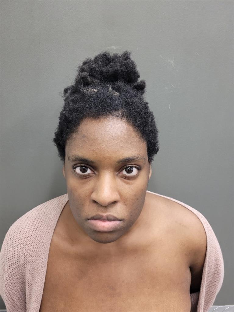  LYDIA ANN JOHNSON Mugshot / County Arrests / Orange County Arrests