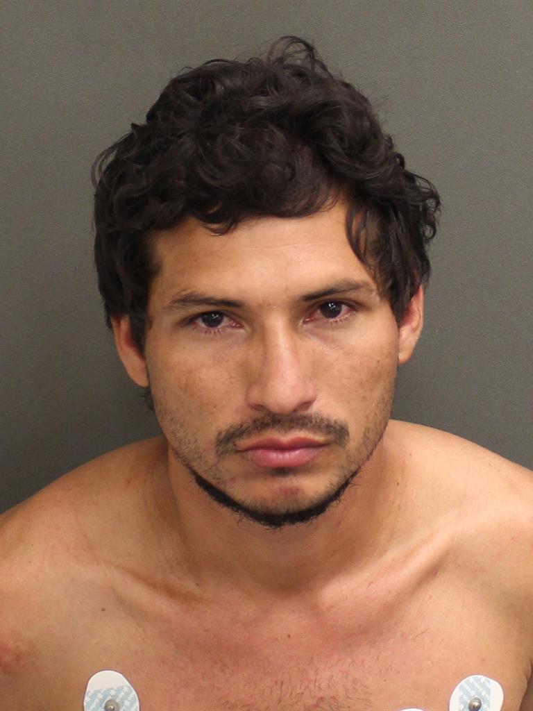  JASON SNAYDER JARACASTILLO Mugshot / County Arrests / Orange County Arrests