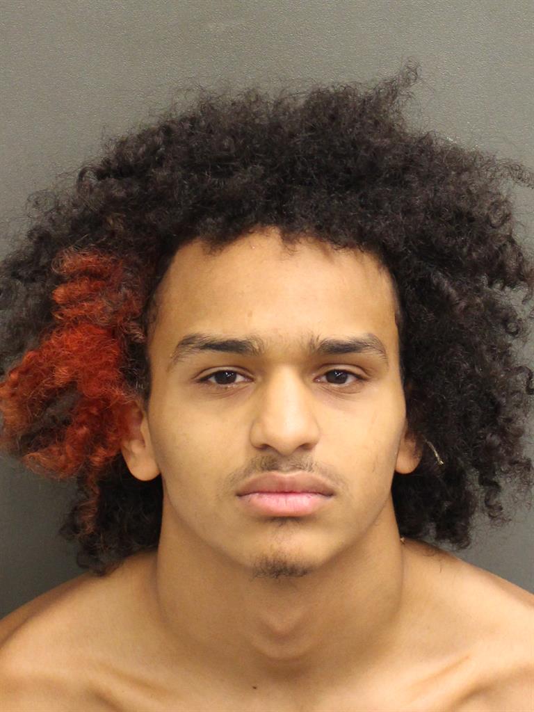 AARON FRITZGERALD WEEMS Mugshot AARON FRITZGERALD WEEMS Mugshot / County Arrests / Orange County Arrests