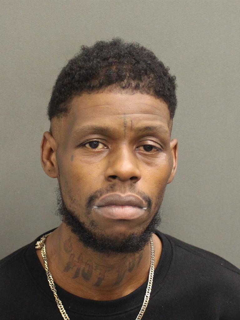  LOUIS CAMERON HINES Mugshot / County Arrests / Orange County Arrests