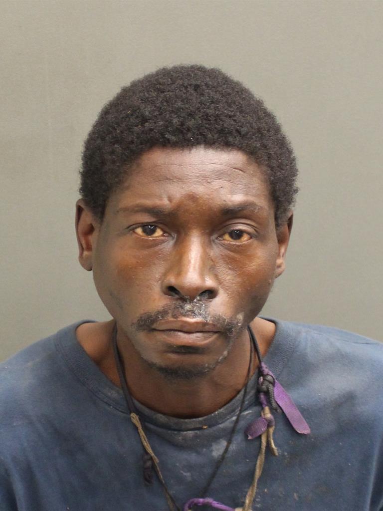 JAMES LEE JR JOHNSON Mugshot