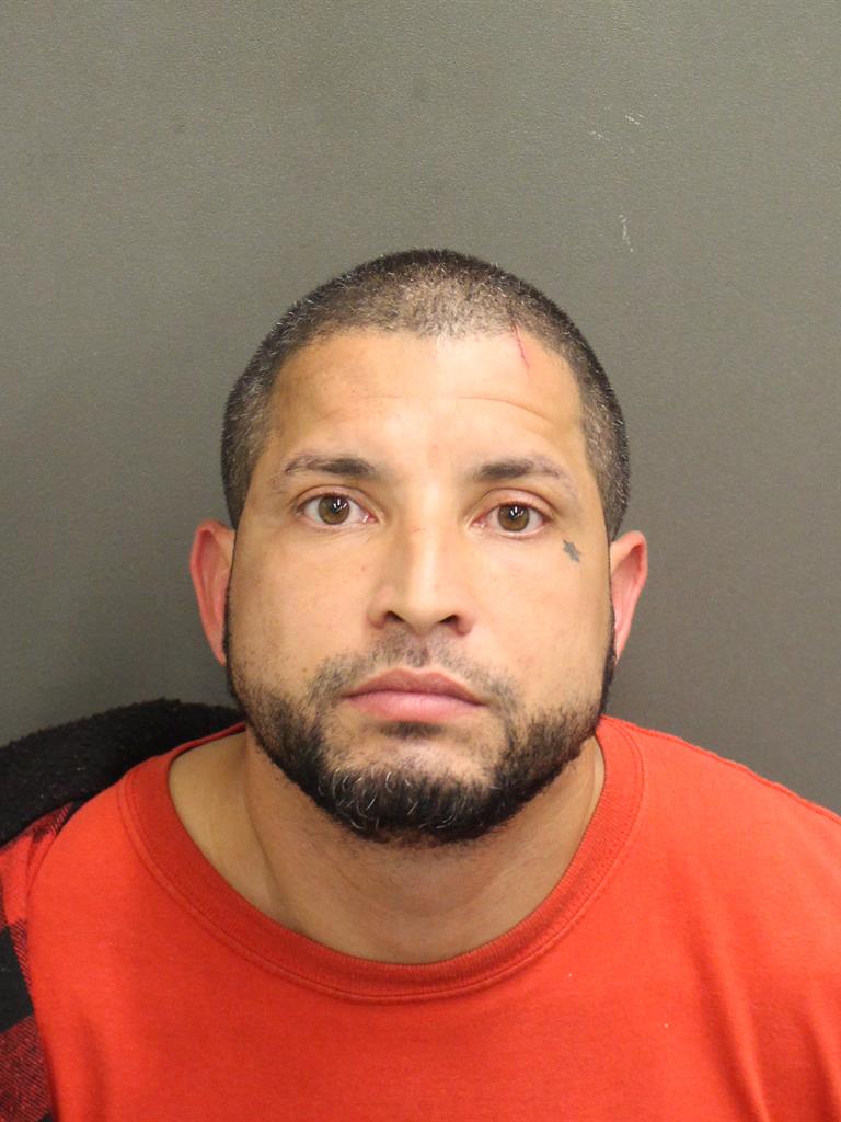  LUIS ANTONIO PAGAN Mugshot / County Arrests / Orange County Arrests