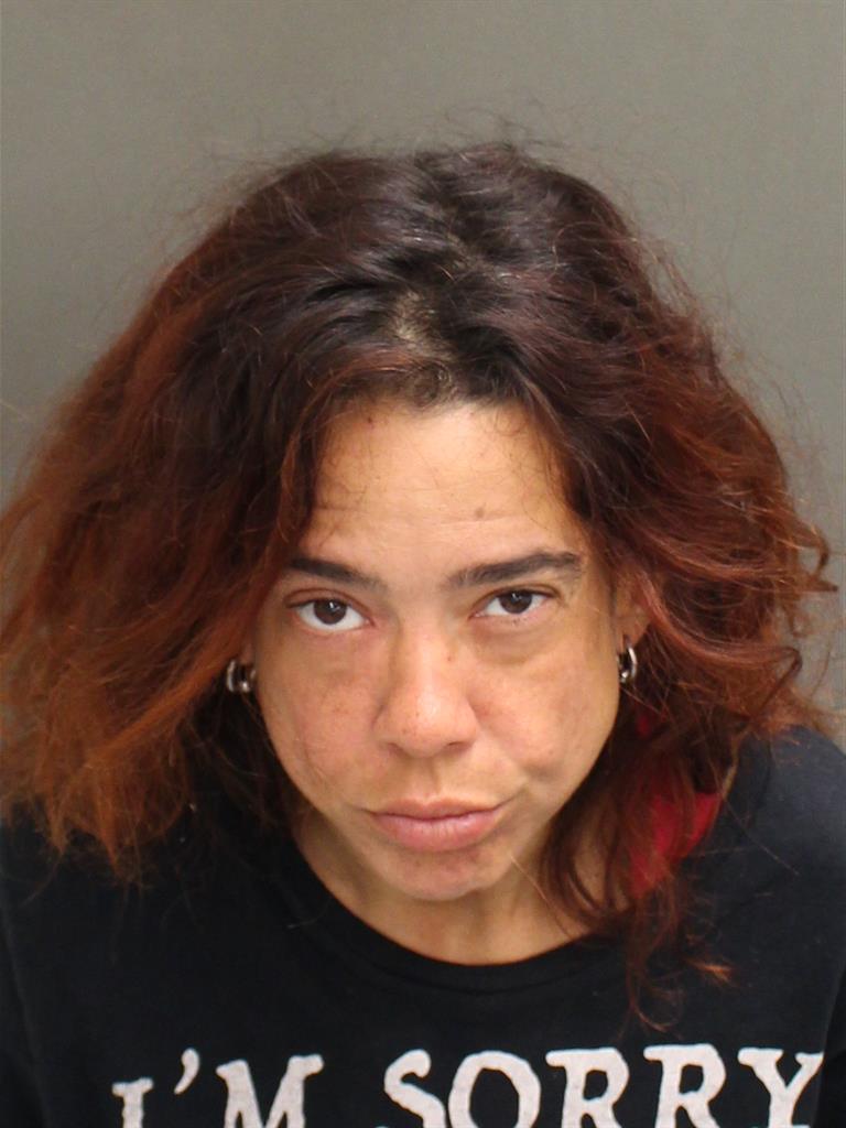  ADRIENNE FOURNIER SALAS Mugshot / County Arrests / Orange County Arrests