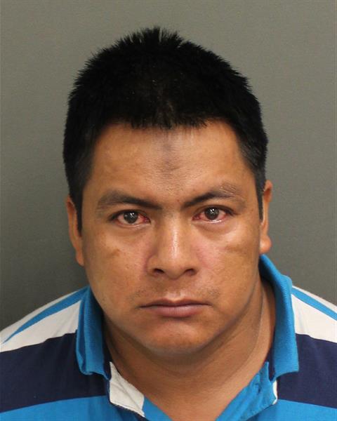  SANTIAGO ELIAS CINTOPEREZ Mugshot / County Arrests / Orange County Arrests