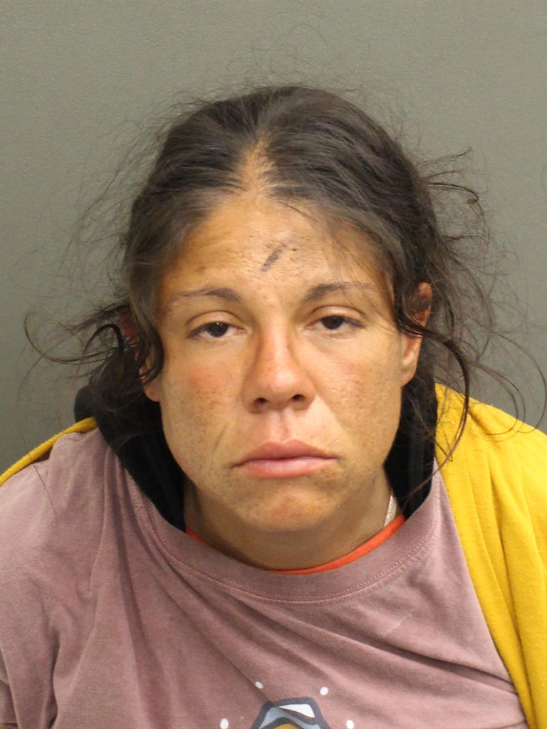  HADILIANNA G BLANCO Mugshot / County Arrests / Orange County Arrests