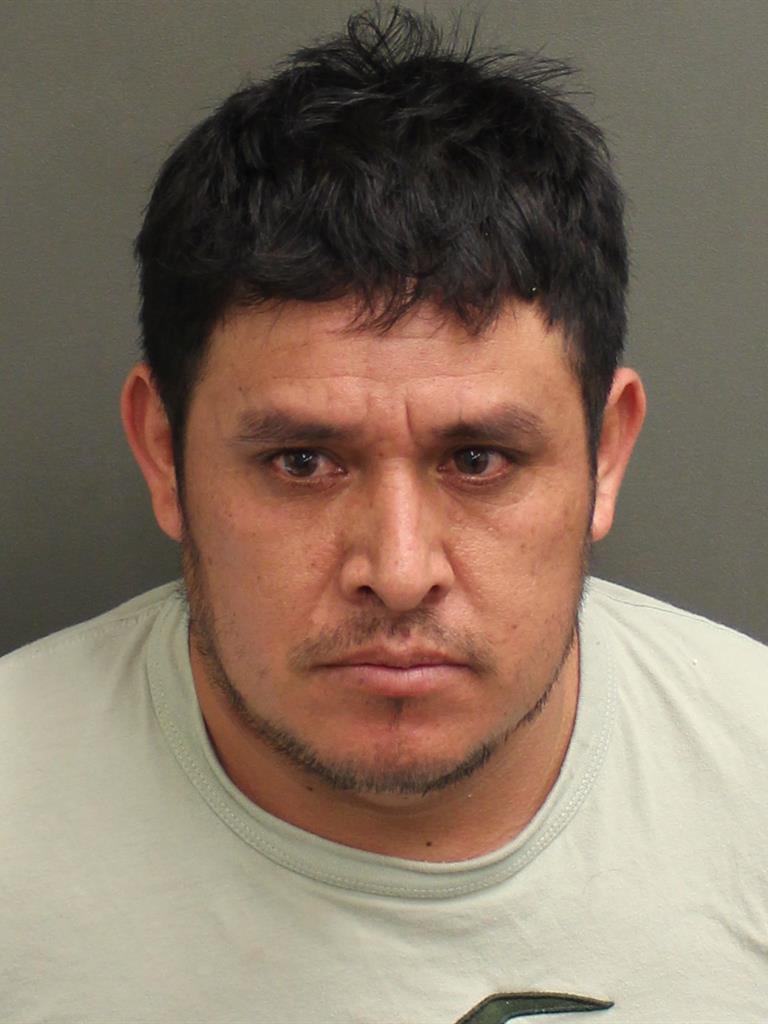  DELFINO CRUZVALDIN Mugshot / County Arrests / Orange County Arrests