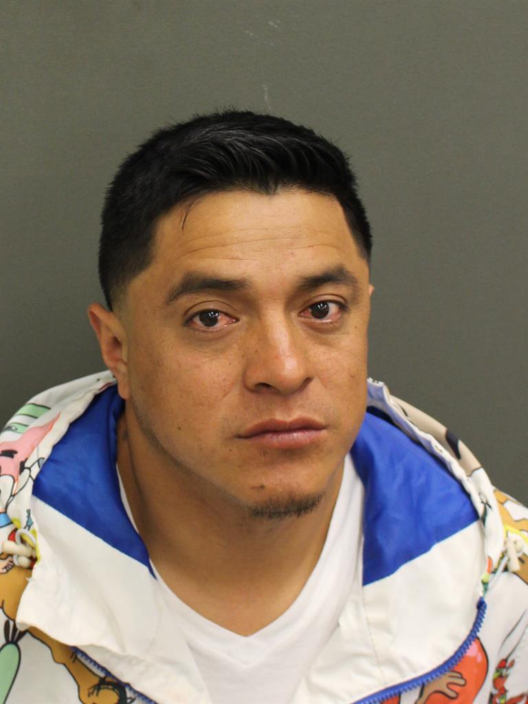  LUIS GABRIEL PINEDAQUILLE Mugshot / County Arrests / Orange County Arrests