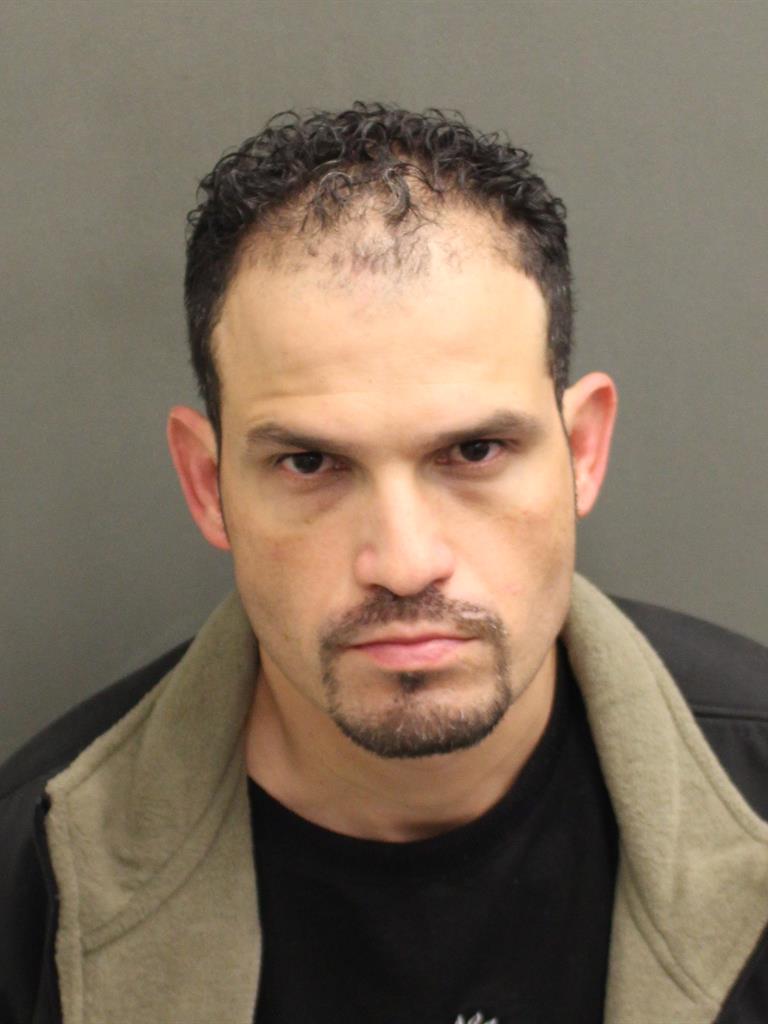  DANY FERNANDEZ Mugshot / County Arrests / Orange County Arrests