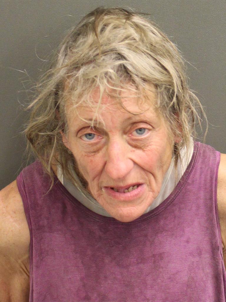  MARY PATRICIA JAMIESON Mugshot / County Arrests / Orange County Arrests