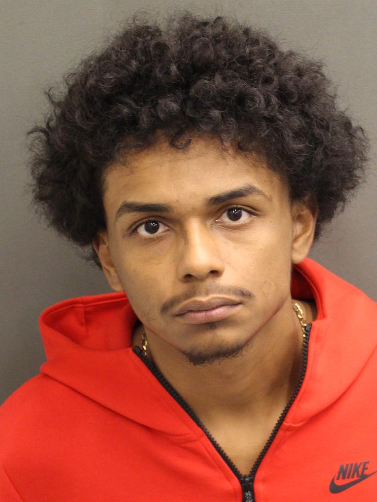  JULIEN BELTRAN Mugshot / County Arrests / Orange County Arrests