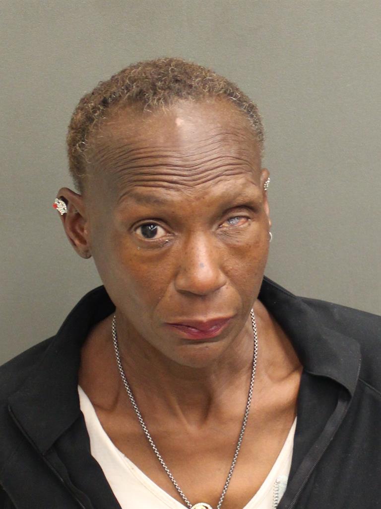 SHARON ELAINE THOMAS Mugshot SHARON ELAINE THOMAS Mugshot / County Arrests / Orange County Arrests