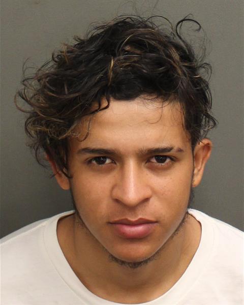  LUIS ALFREDO MEJIAGONZALES Mugshot / County Arrests / Orange County Arrests