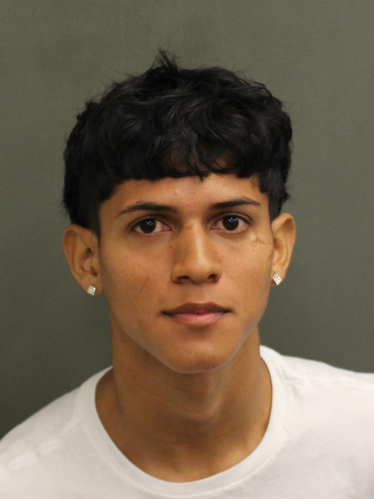  LUIS F HERNANDEZ Mugshot / County Arrests / Orange County Arrests