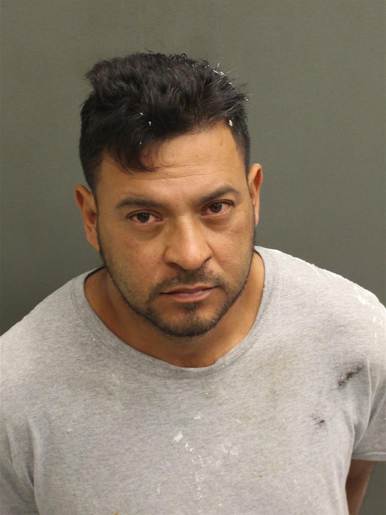  FRANCISCO SOTOANDREA Photo Image