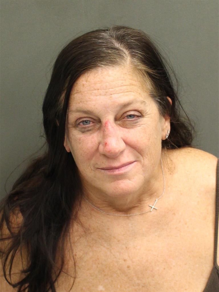  MARY LISSA SEALSKIDD Mugshot / County Arrests / Orange County Arrests