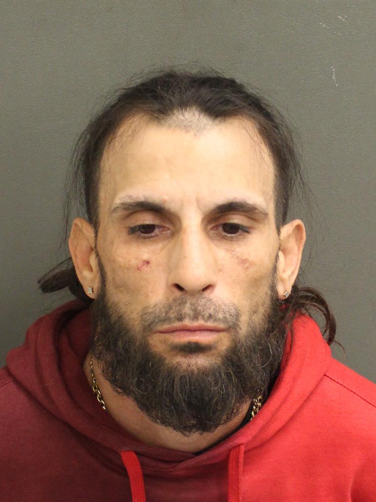  WILLIAM  JR ROSARIO Mugshot / County Arrests / Orange County Arrests