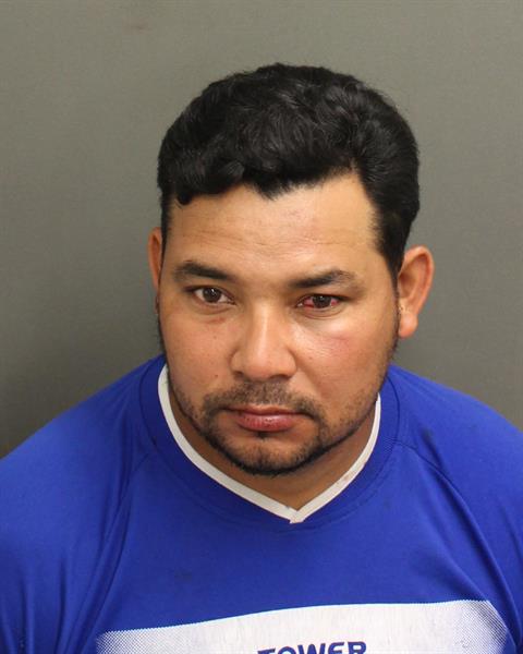  SELVIN FLORESCHAVARRIA Photo Image