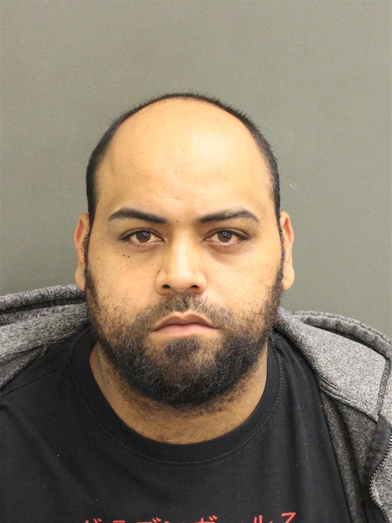  JULIO NAVEIRAFLORES Mugshot / County Arrests / Orange County Arrests