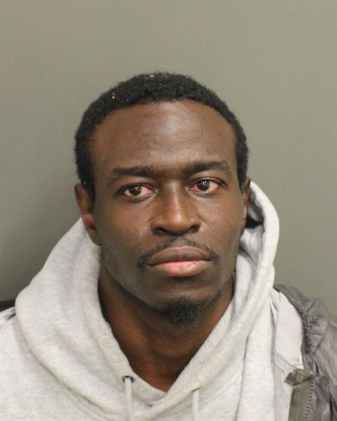  FRANCOIS NICOLAS Mugshot / County Arrests / Orange County Arrests