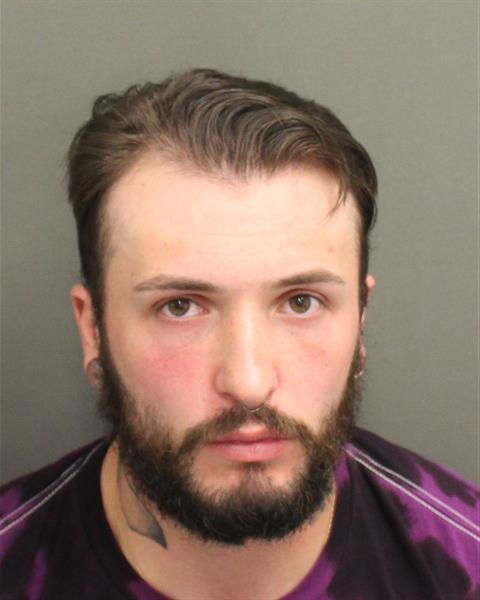  COLTON ALEXANDER HICKSSOUTHERN Mugshot / County Arrests / Orange County Arrests