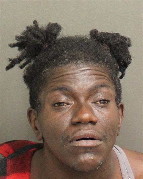  APRIL L JOHNSON Mugshot / County Arrests / Orange County Arrests