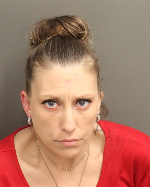  SARAH FAYE HAMILTON Mugshot / County Arrests / Orange County Arrests