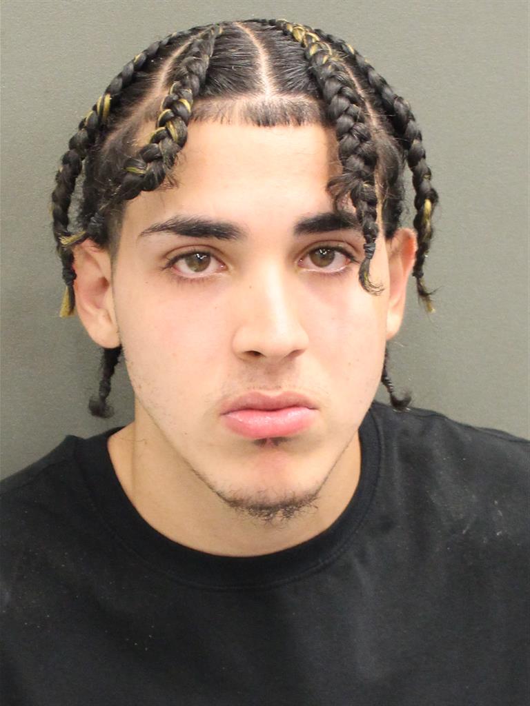  CHRISTIAN GALLORUIZ Mugshot / County Arrests / Orange County Arrests