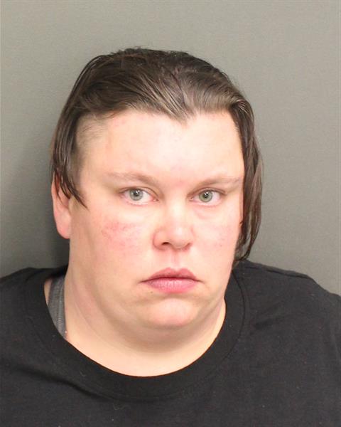  AMBER RENE FINSTAD Mugshot / County Arrests / Orange County Arrests