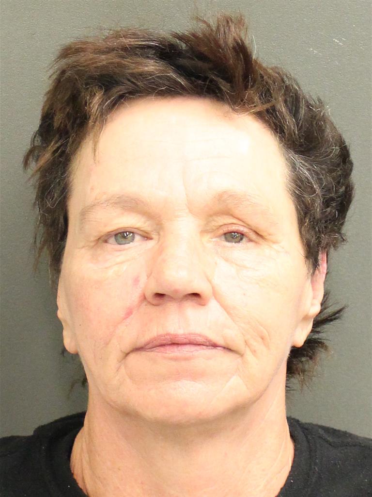  ANNE MARIE BAILEY Mugshot / County Arrests / Orange County Arrests
