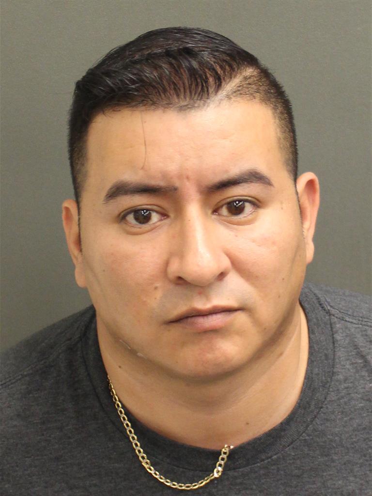  LESTER RENE DAVID RODASCASTILLO Mugshot / County Arrests / Orange County Arrests