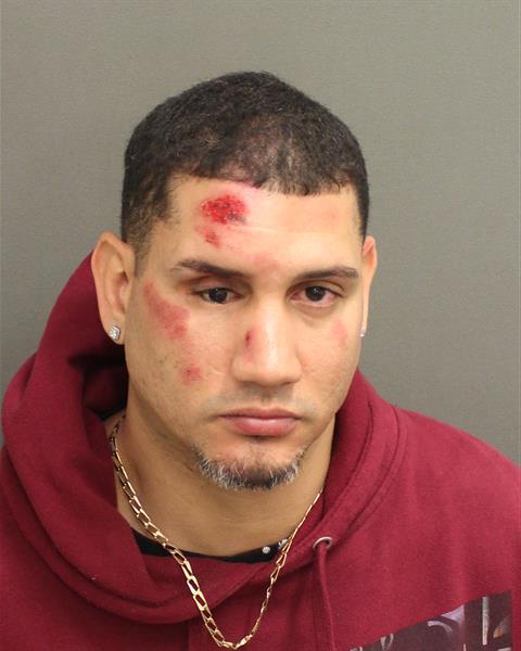  JOSE MANUEL TIRADOPAGAN Mugshot / County Arrests / Orange County Arrests