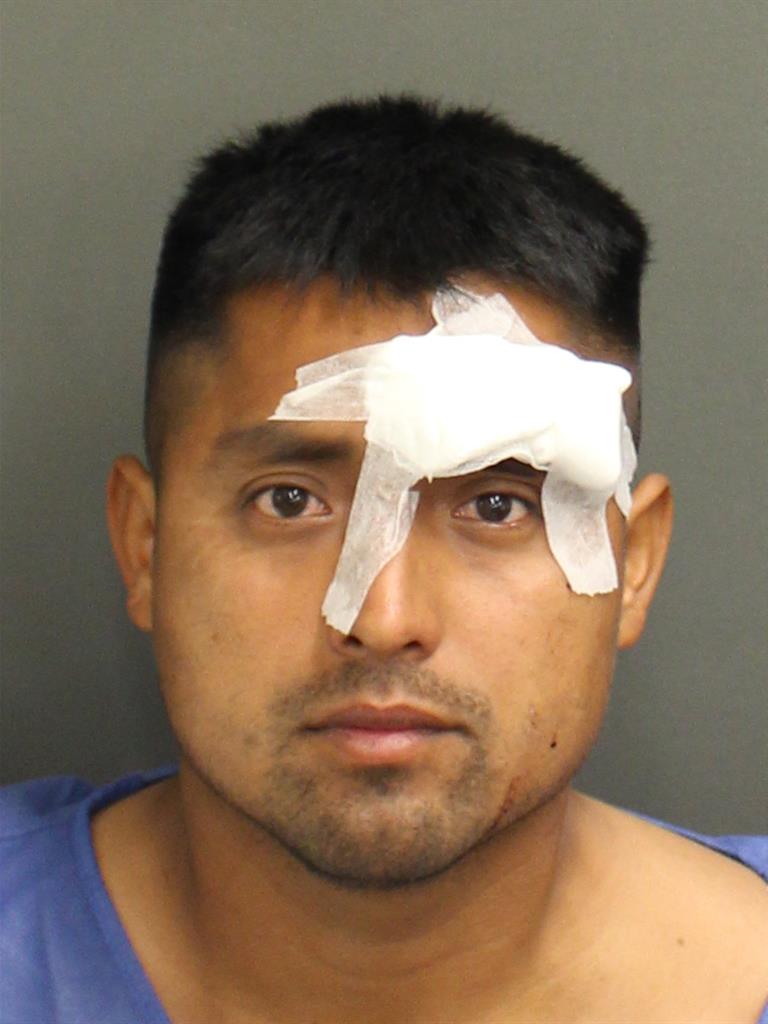  RONY CHOCOOJPRADO Mugshot / County Arrests / Orange County Arrests