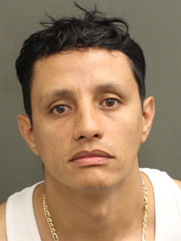  JOSUE Y SANCHEZCASTANEDA Mugshot / County Arrests / Orange County Arrests