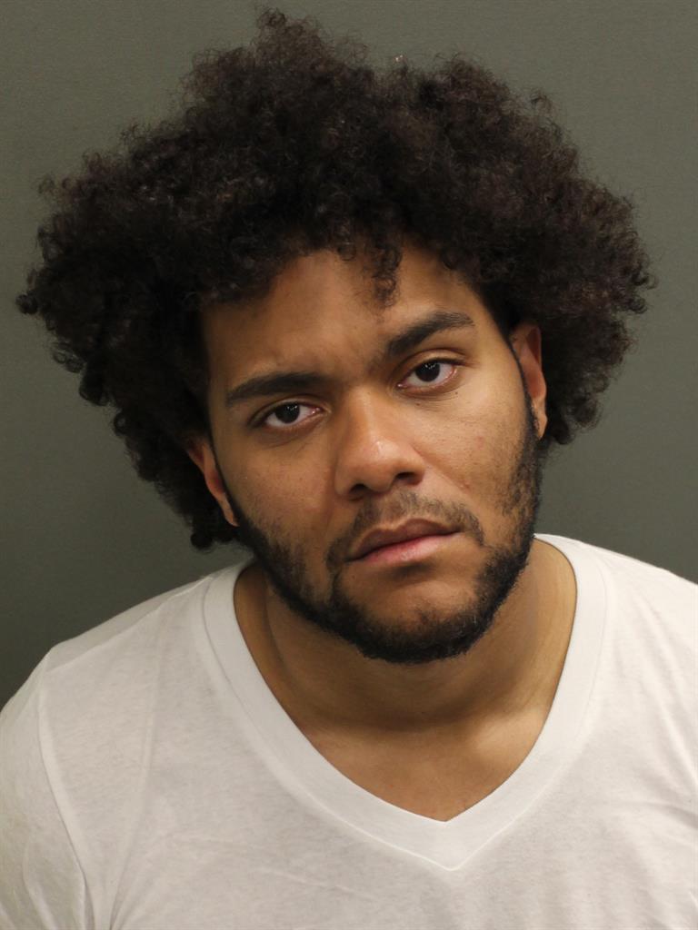  DANIEL NAPOLEONIS Mugshot / County Arrests / Orange County Arrests