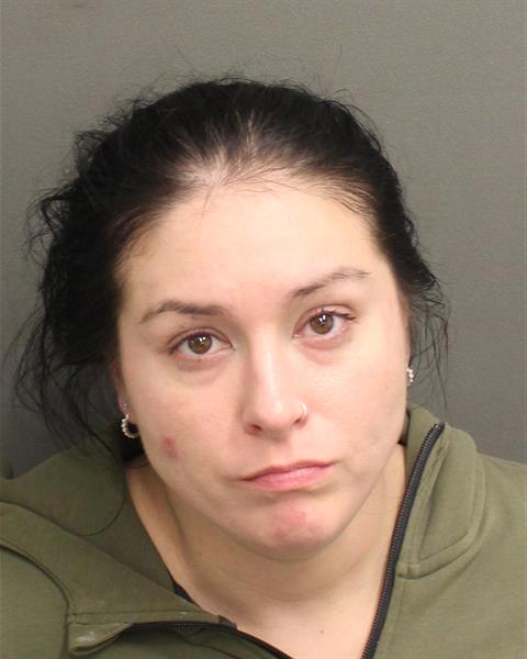  SARA ANN ANDERSON Mugshot / County Arrests / Orange County Arrests