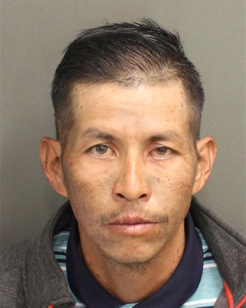  PAXTOR MAYEN EFRAINELIU Photo Image