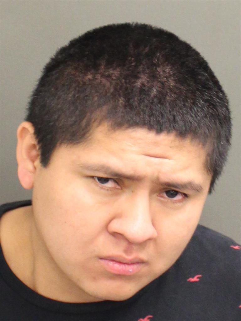  FLAVIO CESAR RAMOSGONZALEZ Mugshot / County Arrests / Orange County Arrests