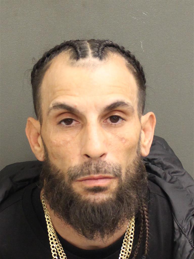  WILLIAM  JR ROSARIO Mugshot / County Arrests / Orange County Arrests
