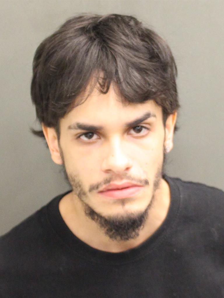  CHRISTIAN GABRIEL MALAVE Mugshot / County Arrests / Orange County Arrests