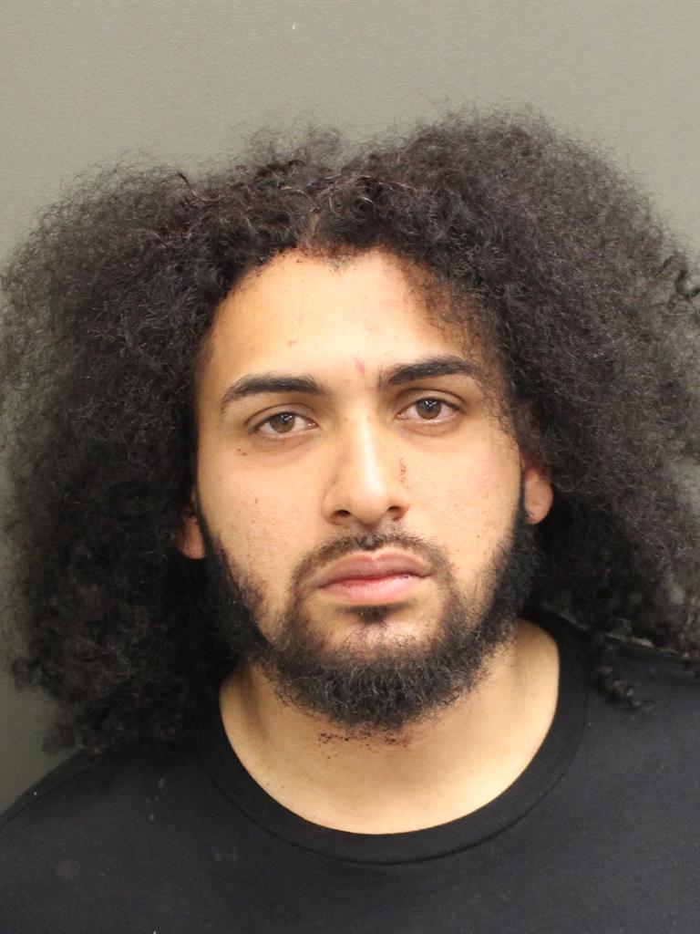  WILMER GRANERA Mugshot / County Arrests / Orange County Arrests