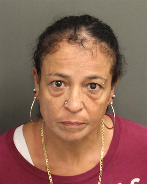  CARMEN LEYDA TORRES Mugshot / County Arrests / Orange County Arrests