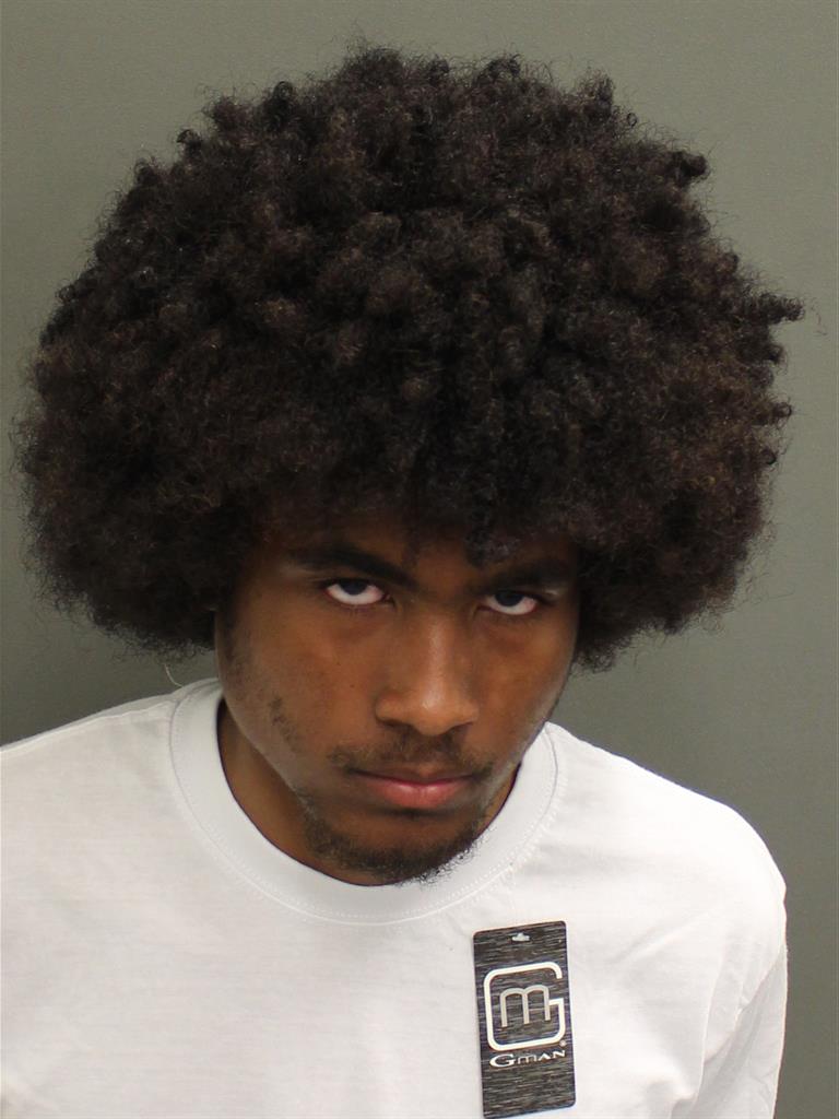  SHAWN JEAN BROWN Mugshot / County Arrests / Orange County Arrests