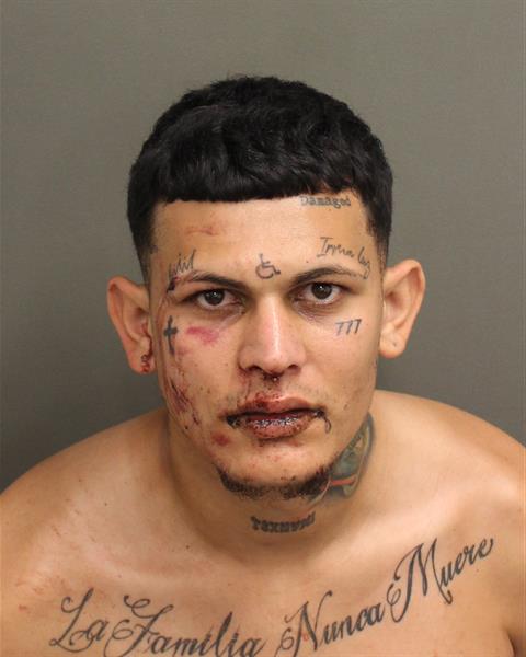  CRISTHIAN E TORRES Photo Image