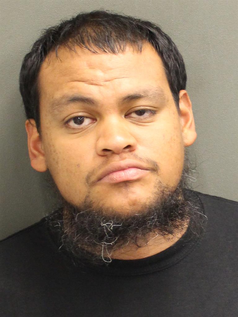  DANIEL GUSTAVO JR POLANCO Mugshot / County Arrests / Orange County Arrests