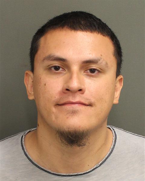  LUIS FERNANDEZ IBANEZ Mugshot / County Arrests / Orange County Arrests