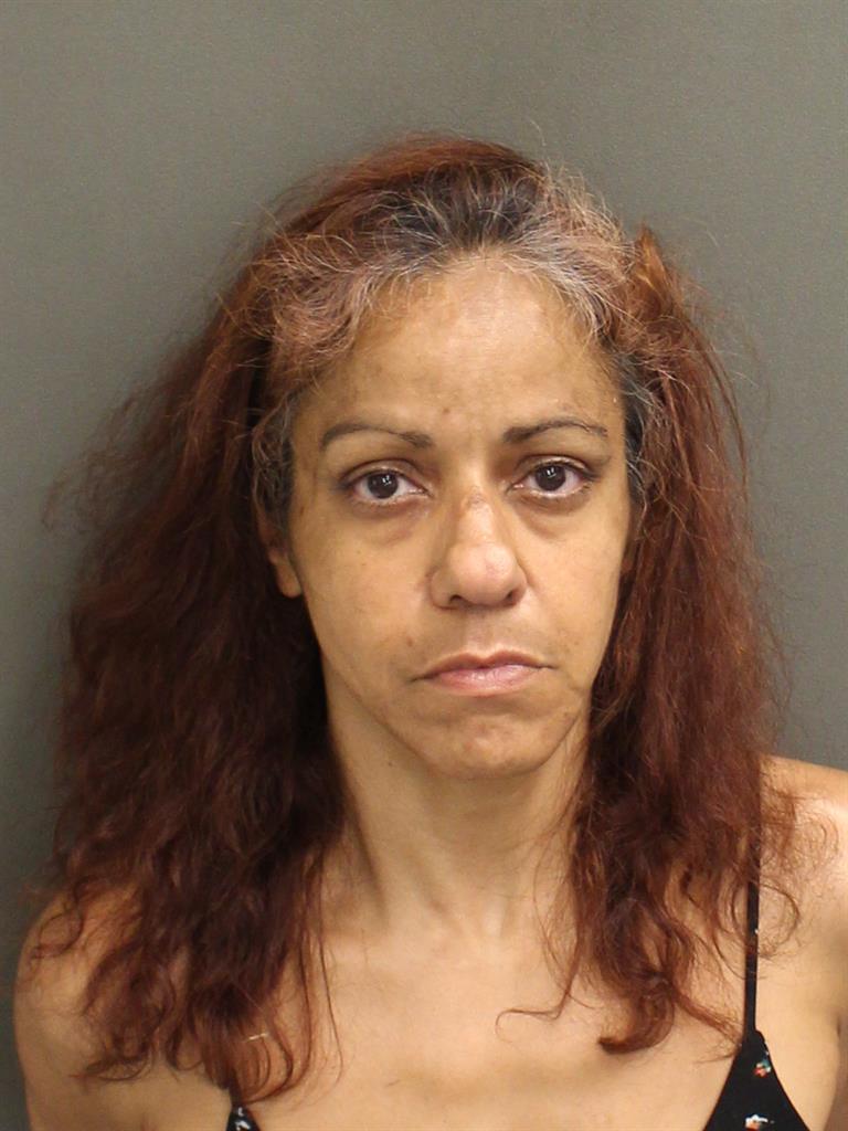  IRENE FLORES Mugshot / County Arrests / Orange County Arrests