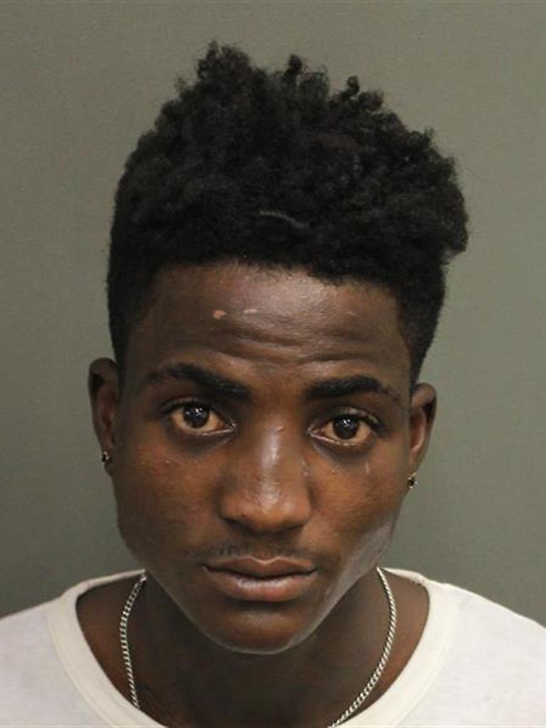  RICOT VILBRUN Photo Image